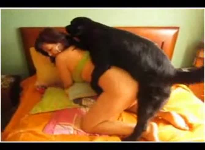 Video :Big tits curvy chick having dog sex on the bed